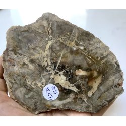 Forstenet tr skive-18