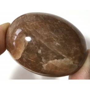 Fersken mnesten palmsten-9