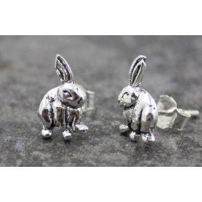 S925 sterlingsølv ørestik-83