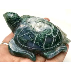 Mos agat skildpadde-6