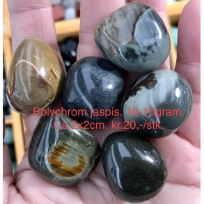 Jaspis polychorm