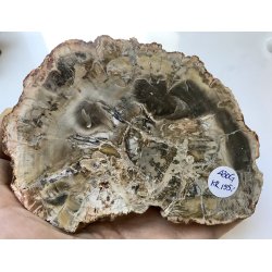 Forstenet tr skive-24