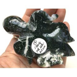 Mos agat skildpadde-4