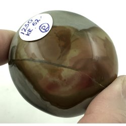 Polychorme jaspis palmsten -2