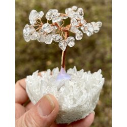 Krystal tr-bjergkrystal fod+bjergkrystal