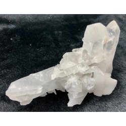 Natur r kaktus bjergkrystal-9