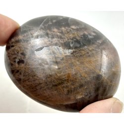 Sort mnesten palmsten-4