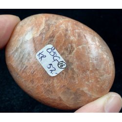 Fersken mnesten palmsten-16