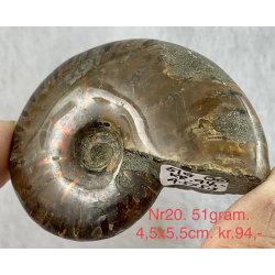 Ammonit opaliseret-20