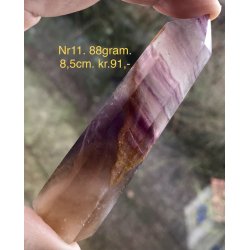 Multi regnbue flourit trn-11