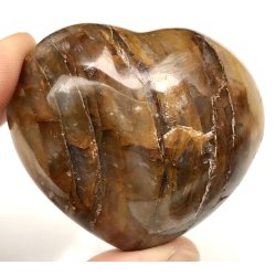 Golden healer hjerte-29