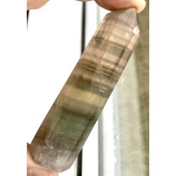 Multi regnbue flourit trn-19