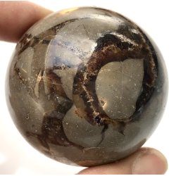 Septarie kugle-21
