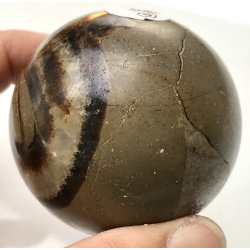 Septarie kugle-6