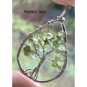 livets tr� vedh�ng med peridort