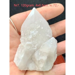 Natur r� kaktus bjergkrystal-7