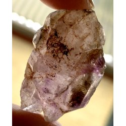 Natur r super seven-3