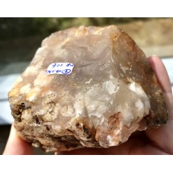 Natur r Blomster agat-7