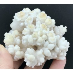 Stalagmit klynge 239gram. 