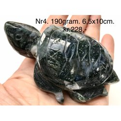 Mos agat skildpadde-4