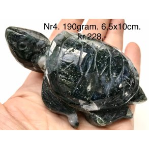 Mos agat skildpadde-4