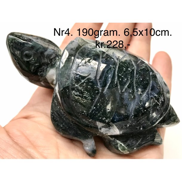 Mos agat skildpadde-4