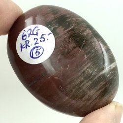 Forstenet tr palmsten-15