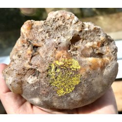 Natur r Blomster agat-5