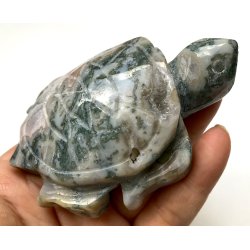 Mos agat skildpadde-11