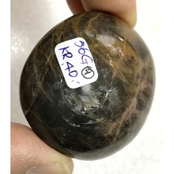 Sort mnesten palmsten-9