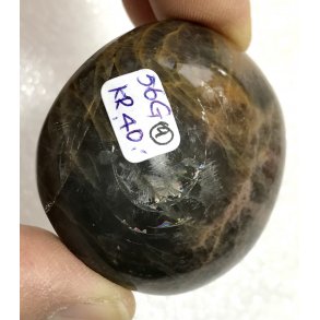 Sort mnesten palmsten-9