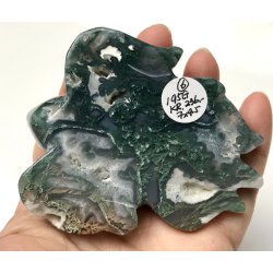 Mos agat skildpadde-6