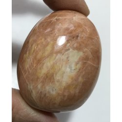 Fersken mnesten palmsten-14