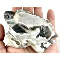 Mos agat skildpadde-2