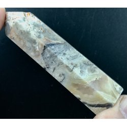 Crazy lace agat trn -7