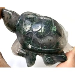 Mos agat skildpadde-5