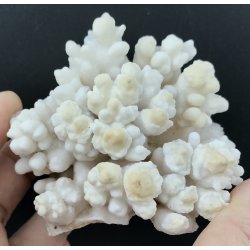 Stalagmit klynge 239gram. 