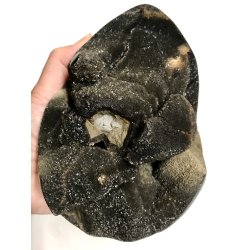 Septarie krystal g -8