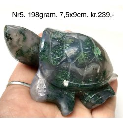 Mos agat skildpadde-5