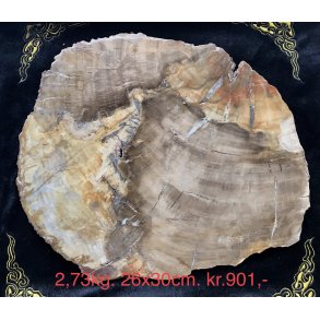 Forstenet tr skive-9