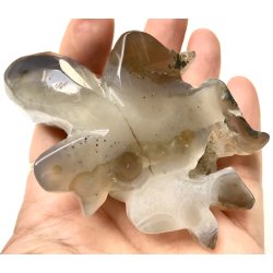 Mos agat skildpadde-10