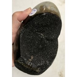 Septarie krystal g -19