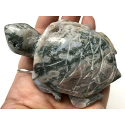 Mos agat skildpadde-11