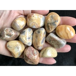 Crazy lace agat lommesten. 