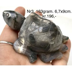 Mos agat skildpadde-3