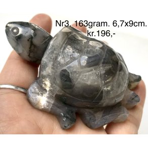 Mos agat skildpadde-3