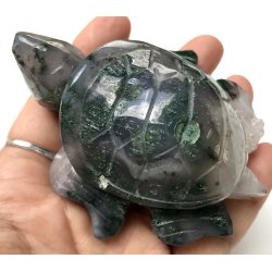 Mos agat skildpadde-5