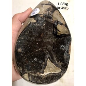 Septarie krystal g -15