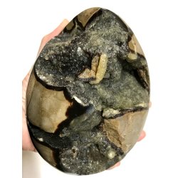 Septarie krystal g -10