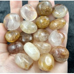 Golden healer. 10-15gram. 